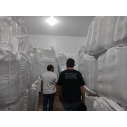 Mais de 350 toneladas de sementes irregulares são apreendidas em operações de fiscalização do Mapa